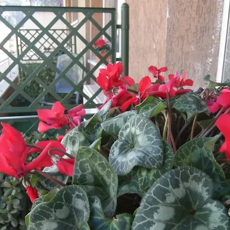 Bed & Breakfast La Perla Di 4*